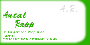 antal rapp business card